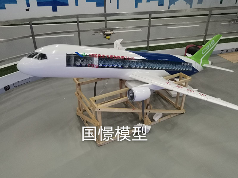 玉林飞机模型